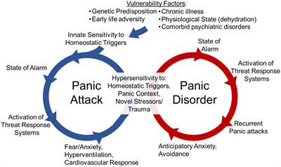 Neuroimmune mechanisms in fear and panic pathophysiology
